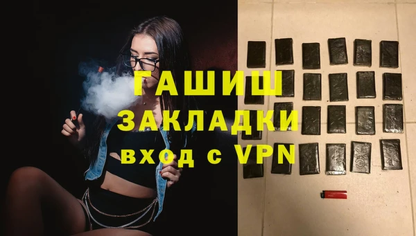гидра Богородицк