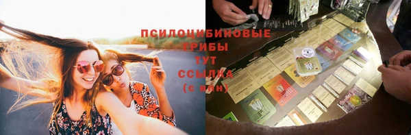 гидра Богородицк