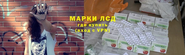 гидра Богородицк