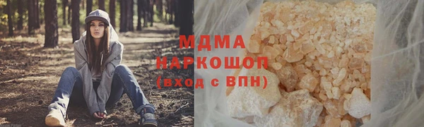 гидра Богородицк
