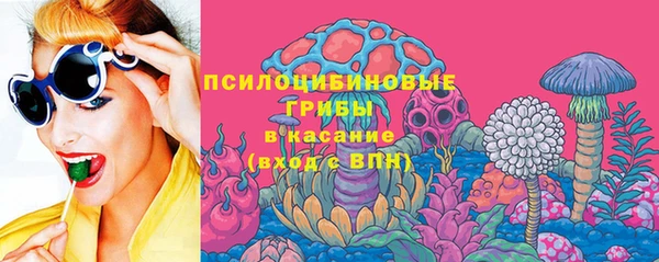 гидра Богородицк