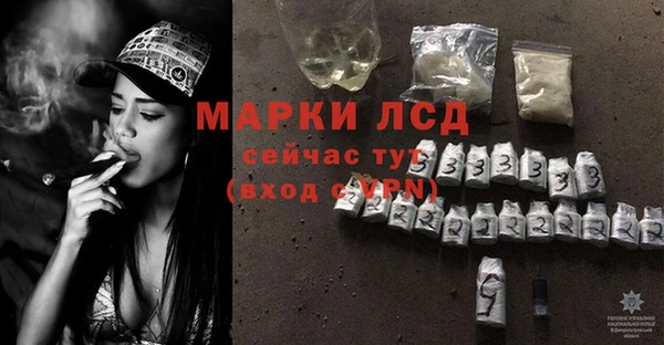 эйфоретик Беломорск