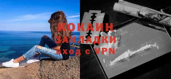 гидра Белокуриха