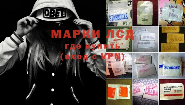 гидра Богородицк