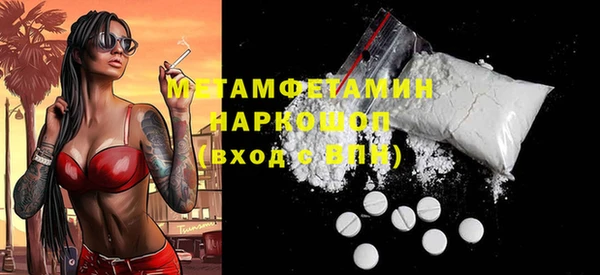 гидра Богородицк