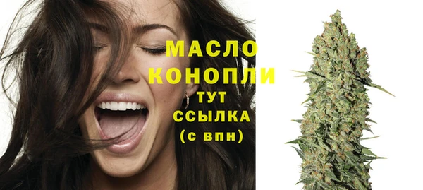 гидра Богородицк