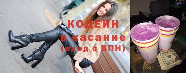 гидра Богородицк