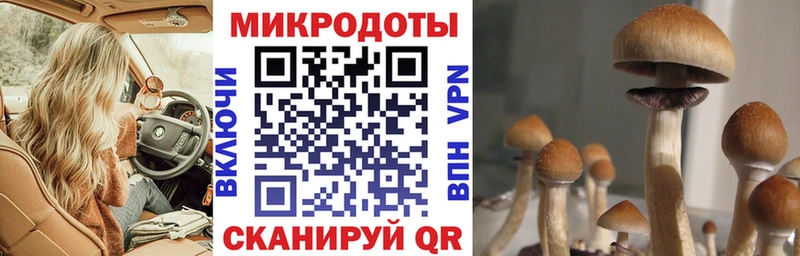 Галлюциногенные грибы мухоморы  что такое   кракен как войти  Феодосия 